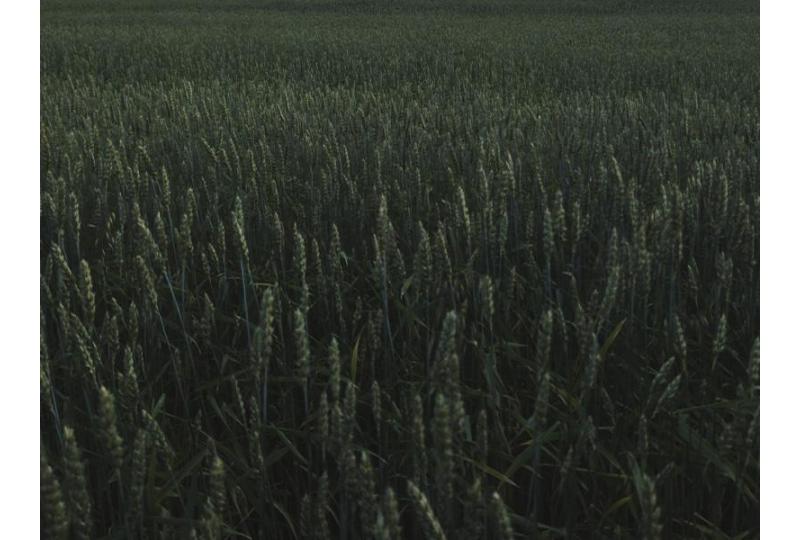 Medveten och hållbar hudvård